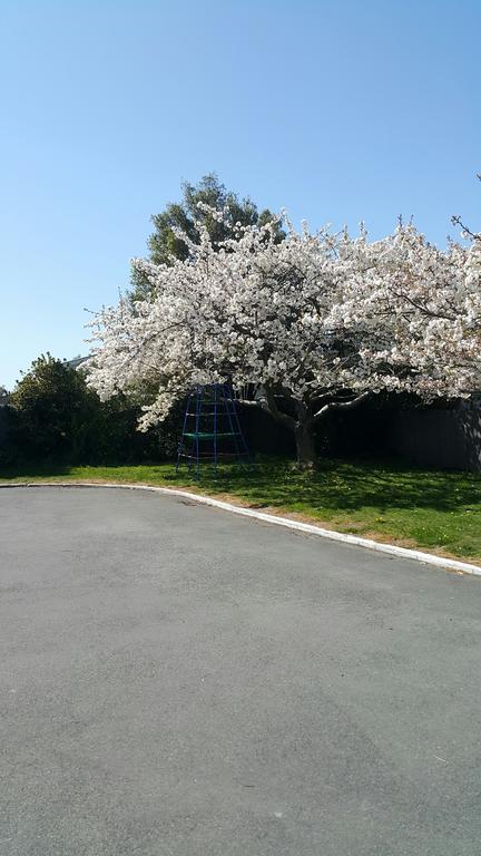 Lilybrook Motel Rangiora Exterior foto